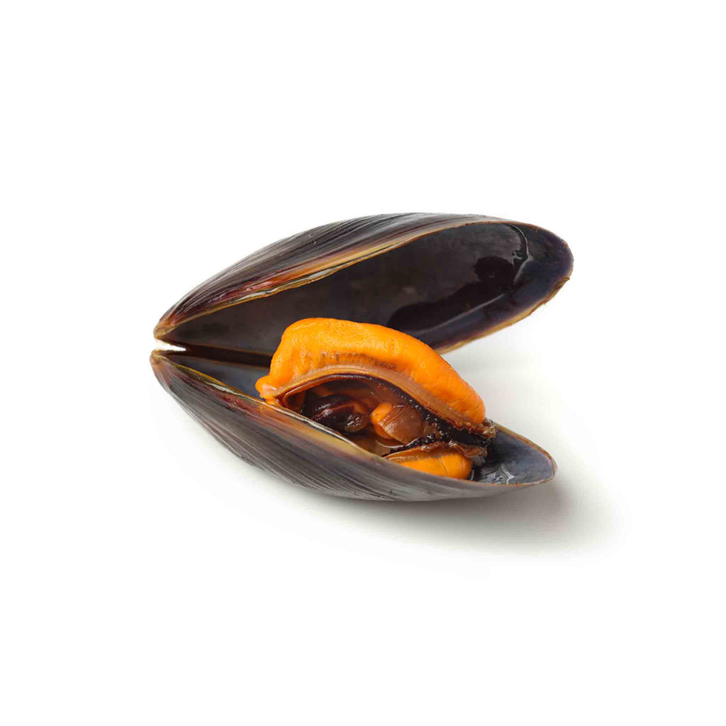 Mussels Full Shell