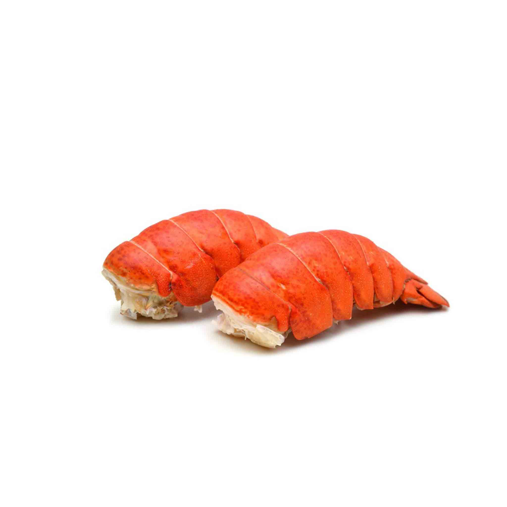 Lobster Tails in Egypt La Mer Salmon Online Shop